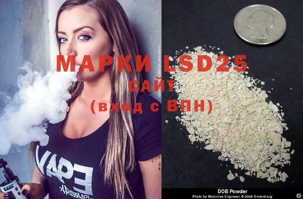 apvp Магас