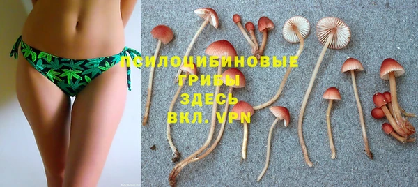 таблы Магадан